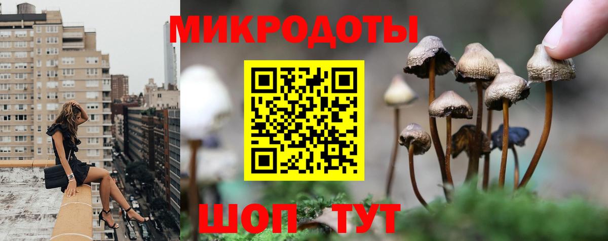Галлюциногенные грибы мухоморы Россия